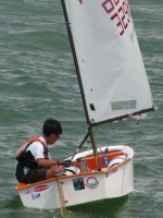 SIN 3296